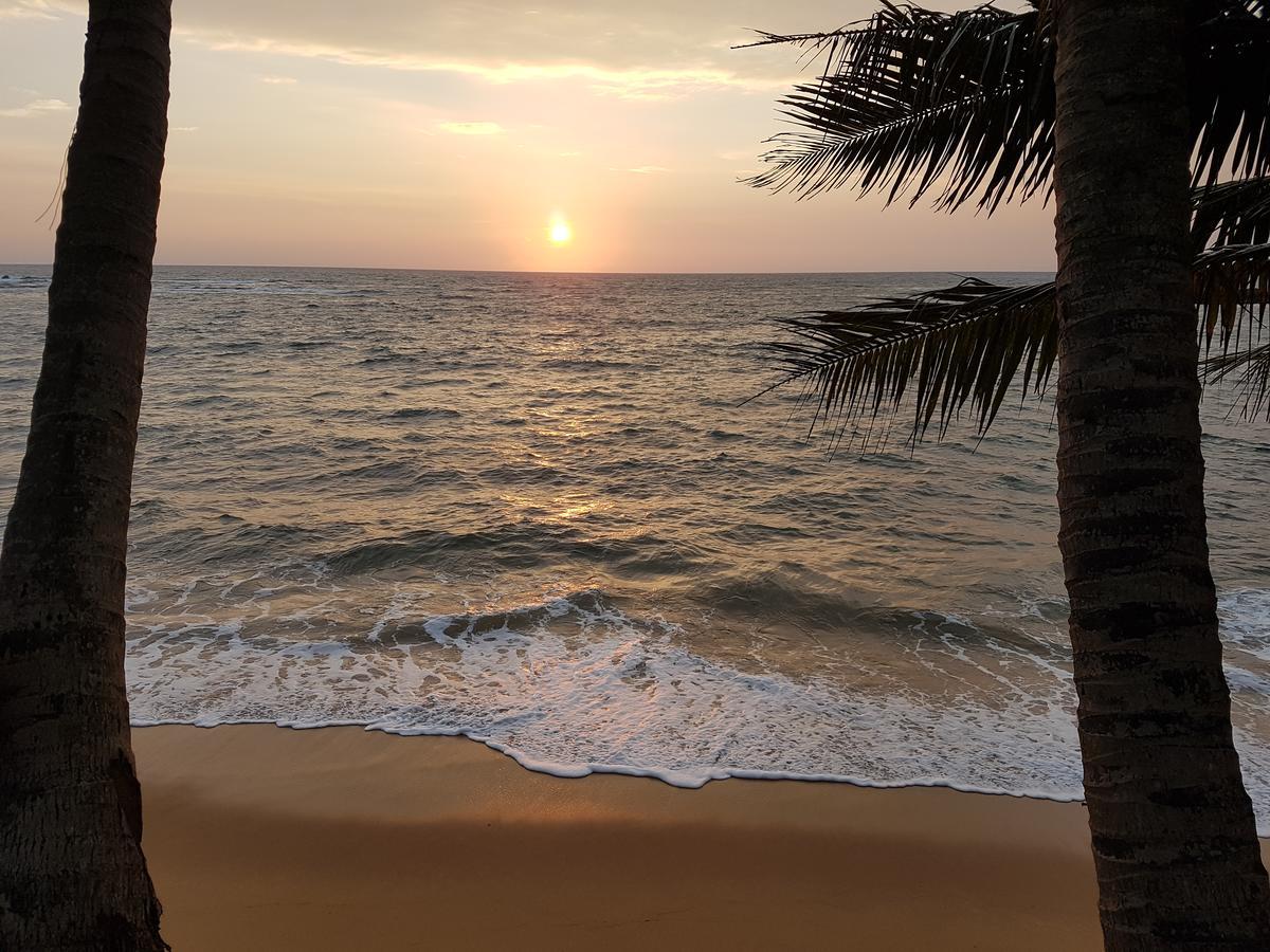 Guesthouse Panorama 贝鲁沃勒 外观 照片